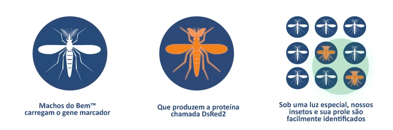 Imagem de Aedes do Bem